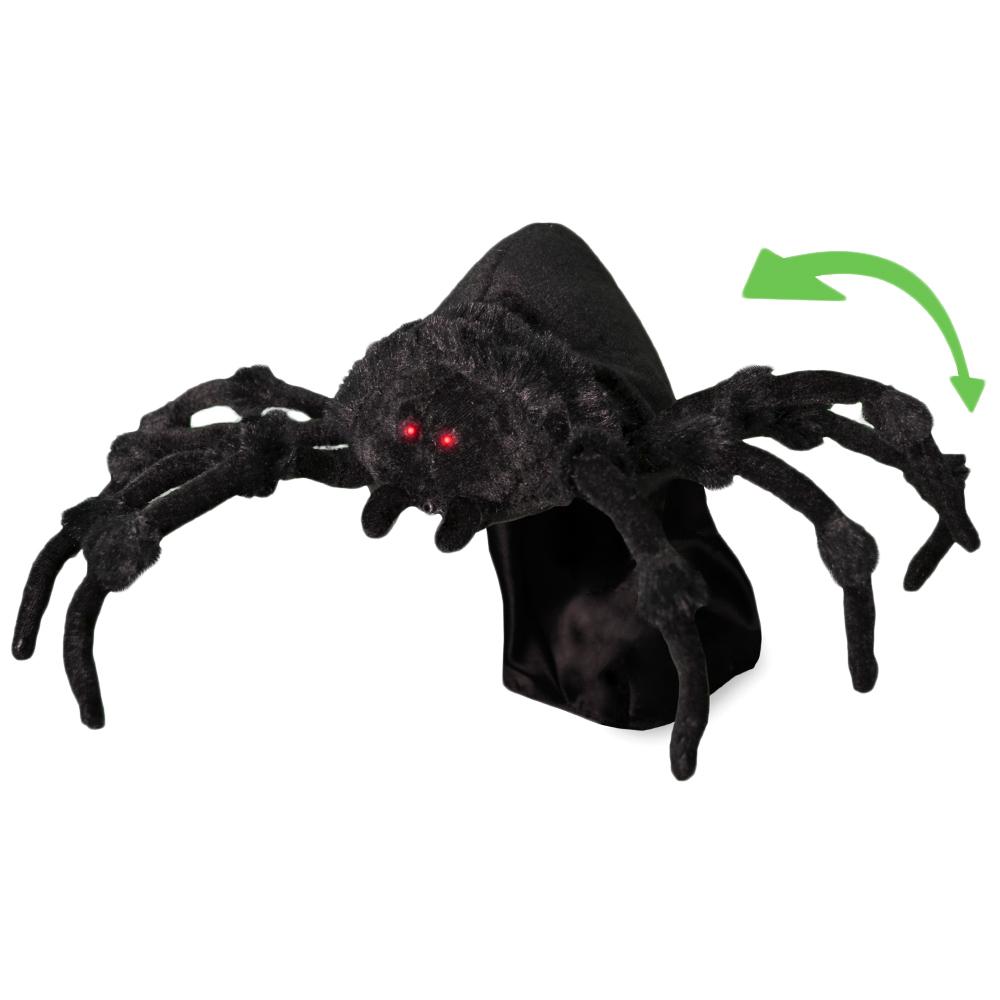 Tabletop Jumping Spider (Direct)